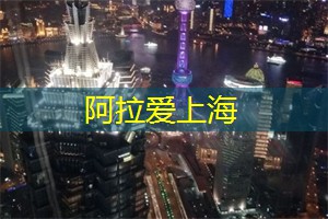 上海最佳现场音乐场所推荐