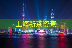 醉人的香气:夜晚花市探秘 醉人的香气:夜晚花市探秘