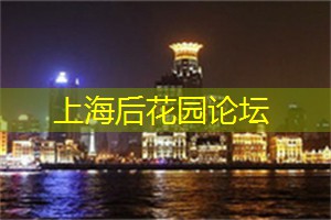 上海的文化遗产与保护工作 上海的文化遗产与保护工作